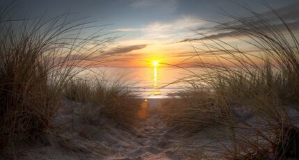 Biscarrosse Maison neuve - 2225992-11553annonce120250717XaZ38.jpeg Maisons France Confort