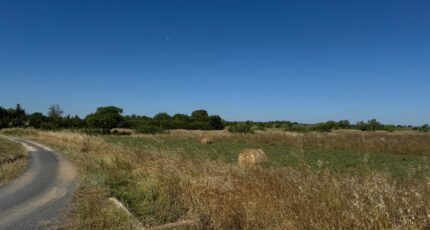 Marseillan Maison neuve - 2226444-11455annonce120250717XZQBd.jpeg Maisons France Confort