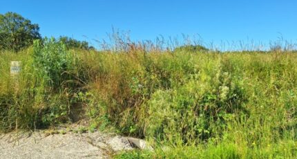 Plaisance-du-Touch Maison neuve - 2225535-9555annonce120250716AU7Dc.jpeg Maisons France Confort