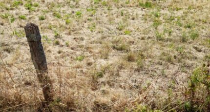 Couzeix Terrain à bâtir - 2226953-3291annonce120250717Ea0ac.jpeg Maisons France Confort