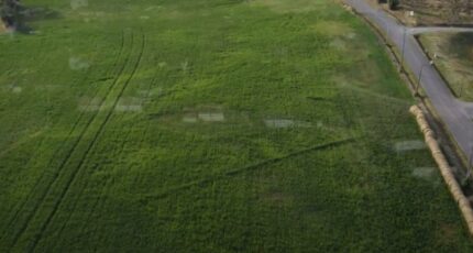 Cologne Maison neuve - 2226752-9555annonce120250717ZCN0H.jpeg Maisons France Confort