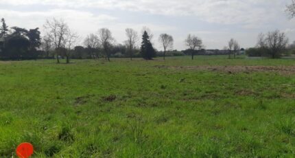 Roquesérière Maison neuve - 2228285-5202annonce320250718FSb7f.jpeg Maisons France Confort