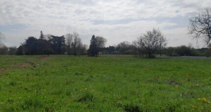 Roquesérière Maison neuve - 2228295-5202annonce1202507188oTvL.jpeg Maisons France Confort