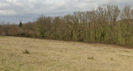 Auterive Terrain à bâtir - 2228510-6043annonce120250718h9OmR.jpeg Maisons France Confort