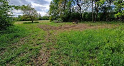 Puydaniel Maison neuve - 2228596-6043annonce2202507181Qms1.jpeg Maisons France Confort