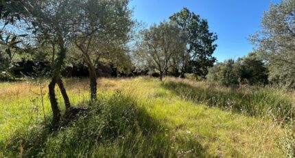 Flayosc Maison neuve - 2231545-3951annonce220250723ke6L4.jpeg Maisons France Confort