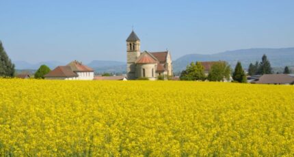 Le Pont-de-Beauvoisin Maison neuve - 2232253-11355annonce320250723bnOd4.jpeg Maisons France Confort