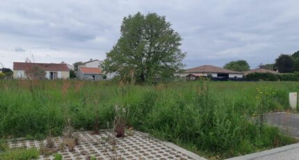 Dieupentale Maison neuve - 2230818-5202annonce220250722Enktx.jpeg Maisons France Confort