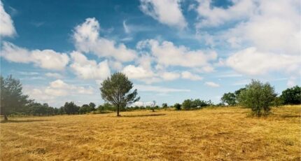 Villeneuve-Minervois Maison neuve - 2233428-10986annonce1202507251v6Ew.jpeg Maisons France Confort