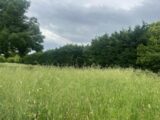Maison à construire à Loriol-sur-Drôme (26270) 2233626-812annonce120250725mGqwd.jpeg Maisons France Confort