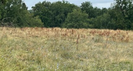 Gourdon Terrain à bâtir - 2234090-11281annonce1202507253cd1T.jpeg Maisons France Confort