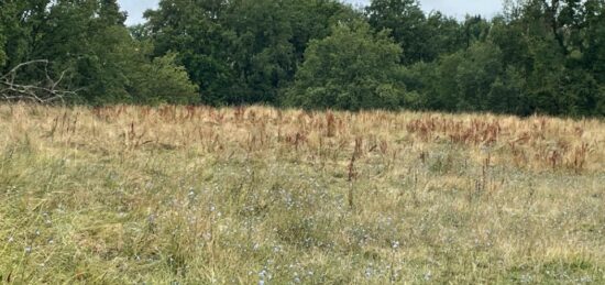 Terrain à bâtir à Gourdon, Occitanie