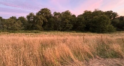 La Roche-sur-Yon Terrain à bâtir - 2234850-10920annonce120250727UU022.jpeg Maisons France Confort