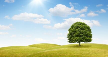 Gujan-Mestras Maison neuve - 2236578-11279annonce120250729VPfDE.jpeg Maisons France Confort