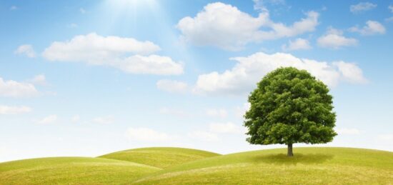 Terrain à bâtir à Gujan-Mestras, Nouvelle-Aquitaine