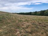 Terrain à bâtir à Montfa (81210) 2244620-11178annonce420250812dPmft.jpeg Maisons France Confort