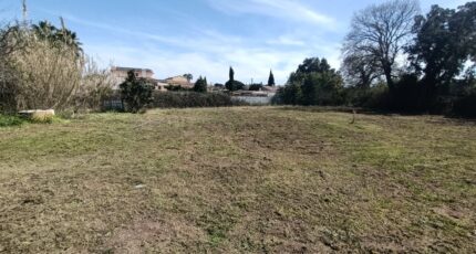 Puget-sur-Argens Terrain à bâtir - 2246620-10295annonce1202504039yXnL.jpeg Maisons France Confort