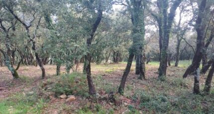 Sainte-Anastasie-sur-Issole Maison neuve - 2246736-11137annonce420250407rAFyE.jpeg Maisons France Confort