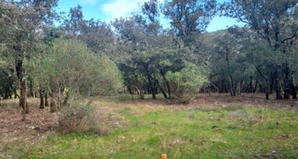 Sainte-Anastasie-sur-Issole Terrain à bâtir - 2246734-11137annonce120250407KWAuP.jpeg Maisons France Confort