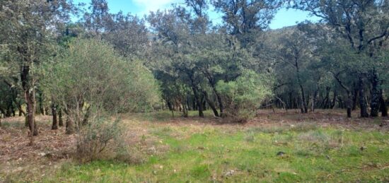 Terrain à bâtir à Sainte-Anastasie-sur-Issole, Provence-Alpes-Côte d'Azur