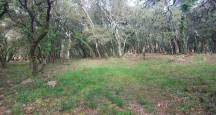 Sainte-Anastasie-sur-Issole Terrain à bâtir - 2246734-11137annonce2202504078t73m.jpeg Maisons France Confort