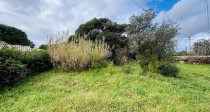 Puget-sur-Argens Terrain à bâtir - 2246901-4529annonce320250819fzSTV.jpeg Maisons France Confort