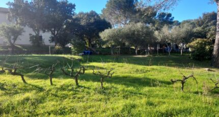 Pierrefeu-du-Var Terrain à bâtir - 2246636-11137annonce220250819Pod7Q.jpeg Maisons France Confort