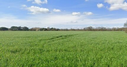 Longages Maison neuve - 2247614-6043annonce520250820Nt4FZ.jpeg Maisons France Confort