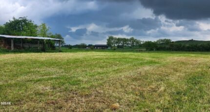 Vénès Maison neuve - 2247955-11178annonce220250821VkplW.jpeg Maisons France Confort