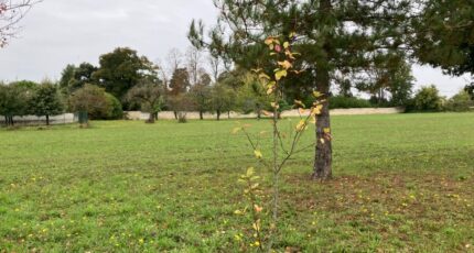 Hiersac Terrain à bâtir - 2249980-11045annonce320250407DRctV.jpeg Maisons France Confort