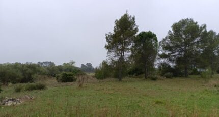 Valflaunès Terrain à bâtir - 2252629-3243annonce320250827kvihR.jpeg Maisons France Confort