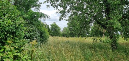 Terrain à bâtir à , Haute-Garonne