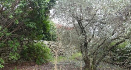 Goudargues Terrain à bâtir - 2255511-5100annonce2202509016gQJV.jpeg Maisons France Confort