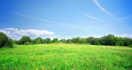 Azay-sur-Cher Terrain à bâtir - 2256120-10650annonce12025090137FpT.jpeg Maisons France Confort