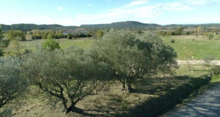 Lecques Terrain à bâtir - 2256459-3243annonce1202505101dvPw.jpeg Maisons France Confort