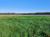 Terrain à bâtir à Bindernheim (67600) 2256618-5767annonce120250901x9BTw.jpeg Maisons France Confort