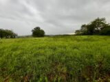 Terrain à bâtir à Polliat (01310) 2258386-754annonce420250902iQBFo.jpeg Maisons France Confort