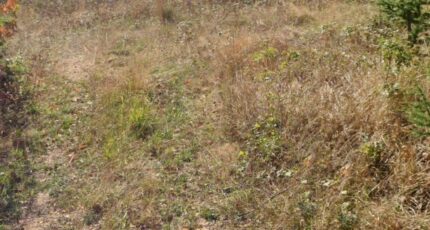 Saint-Pierre-Lafeuille Terrain à bâtir - 2239304-11281annonce220250801S8IsP.jpeg Maisons France Confort