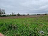 Terrain à bâtir à Pons (17800) 2212393-11315annonce120250703l4yfe.jpeg Maisons France Confort