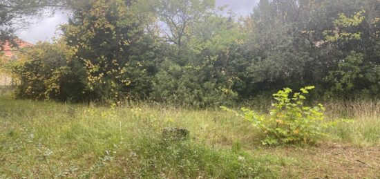 Terrain à bâtir à Cuers, Provence-Alpes-Côte d'Azur