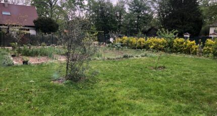 Claye-Souilly Maison neuve - 2259260-7109annonce120250903AwkOJ.jpeg Maisons France Confort