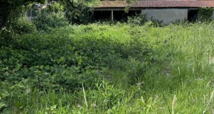 Dampmart Terrain à bâtir - 2233261-11570annonce1202507244ncG9.jpeg Maisons France Confort