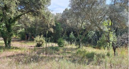 Villevieille Terrain à bâtir - 2264324-609annonce120250908CMU2s.jpeg Maisons France Confort