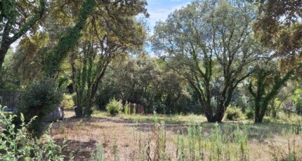 Villevieille Terrain à bâtir - 2264324-609annonce220250908ypMTt.jpeg Maisons France Confort