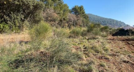 Puget-Ville Terrain à bâtir - 2264435-5622annonce120250908GgAod.jpeg Maisons France Confort