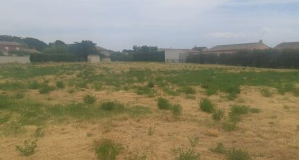 Jonquières Terrain à bâtir - 2231358-695annonce220250722d73o8.jpeg Maisons France Confort