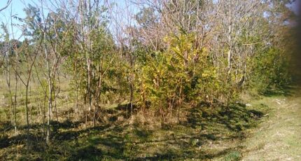 Rochefort-du-Gard Maison neuve - 2231374-695annonce1202507221l2sT.jpeg Maisons France Confort