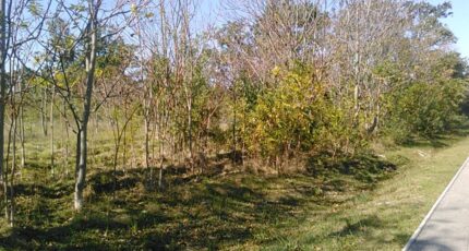 Rochefort-du-Gard Maison neuve - 2231374-695annonce220250722qoCKQ.jpeg Maisons France Confort