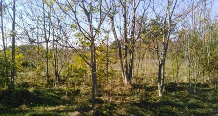 Rochefort-du-Gard Maison neuve - 2231369-695annonce320250722fcXIU.jpeg Maisons France Confort