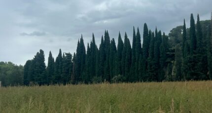 Saint-Étienne-du-Grès Maison neuve - 2264813-11073annonce320250908ZX5pV.jpeg Maisons France Confort